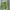 Cardigan Wanita Green
