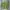 Cardigan Wanita green photo 3