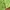 Cardigan Wanita green photo 4