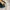 The North Face Gorpcore Casual Tracksuit Pria black gray photo 7