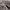 New Balance Gorpcore Casual Sneakers Pria silver tan photo 2