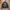 Hysteric Glamour Casual Windbreaker Pria black photo 2