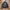Hysteric Glamour Casual Windbreaker Pria black photo 1