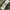 have a good time Streetwear Avant Garde Hoody Pria khaki photo 6