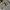 Uniqlo Streetwear Casual Casual pants Pria green gray photo 5