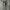 Uniqlo Streetwear Casual Casual pants Pria green gray photo 1