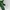 Polo Ralph Lauren Other Pria green black photo 4