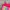 Justice Sportswear Swimwear Kids multicolor pink photo 7