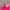 Justice Sportswear Swimwear Kids multicolor pink photo 4