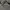 Streetwear Casual Casual shirt Pria gray cream photo 4