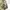 Vintage Hoody Pria green photo 6