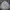 TBJ Nearby Streetwear Formal shirt Pria white navy photo 1