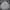 TBJ Nearby Streetwear Formal Shirt Pria White Navy