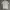 National Geographic Sportswear Casual T-shirt Pria gray photo 3