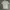 National Geographic Sportswear Casual T-shirt Pria gray photo 1