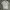 National Geographic Sportswear Casual T-shirt Pria Gray