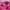 A Bathing Ape Casual Sweatpants & Joggers Pria pink photo 3