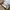 New Balance Y2K Sportswear Sneakers Pria silver cream photo 1