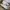 New Balance Y2K Sportswear Sneakers Pria silver cream photo 4