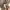Spao Vintage Casual Casual shirt Pria white tan photo 6