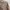 Spao Vintage Casual Casual shirt Pria white tan photo 4