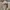 Spao Vintage Casual Casual shirt Pria white tan photo 3