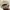 MLB Streetwear Sportswear Hat Kids cream photo 3