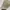 MLB Streetwear Sportswear Hat Kids cream photo 2