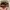 Millet Sportswear Hat Pria Tan