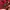 Uniqlo Streetwear Casual Casual shirt Pria red black photo 6