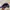 MLB Sportswear Hat Pria multicolor photo 2