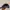 MLB Sportswear Hat Pria Multicolor