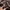 WHO.A.U Streetwear Sweatshirt Pria multicolor photo 5