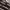 WHO.A.U Streetwear Sweatshirt Pria multicolor photo 2