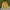 Skechers Streetwear Hoody Pria yellow photo 1