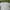 BASIC HOUSE Casual Sweatshirt Pria green blue photo 3