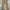 Dickies Vintage Streetwear Casual pants Pria tan photo 3