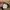 Dickies Vintage Streetwear Casual pants Pria tan photo 5
