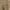 Dickies Vintage Streetwear Casual pants Pria tan photo 4