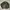 Keith Haring Casual Bomber jacket Pria green photo 1