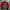 Ellesse Vintage Casual Windbreaker Pria red gray photo 2