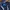 Adidas Sportswear Hoody Wanita navy photo 7