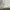 Covernat Casual Casual pants Pria white gray photo 4