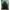 Fieldcore Streetwear Sportswear Windbreaker Pria black photo 2