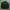 Fieldcore Streetwear Casual Puffer jacket Pria black photo 1