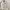 Y2K Crop top Wanita white photo 1