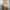 Calvin Klein Streetwear Y2K Dungaree Pria tan photo 1