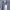 Helmut Lang Luxury Avant Garde T-shirt Wanita gray photo 3