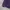 Uniqlo Casual Fleece Wanita purple black photo 4
