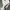Y2K Crop top Wanita white photo 1